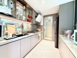 Duchess Residences (D10), Condominium #485998761